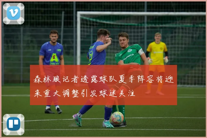 森林狼记者透露球队夏季阵容将迎来重大调整引发球迷关注