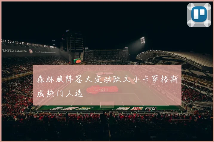 森林狼阵容大变动欧文小卡萨格斯成热门人选